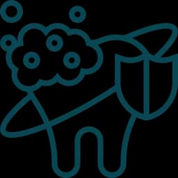 service icon