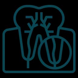 service icon
